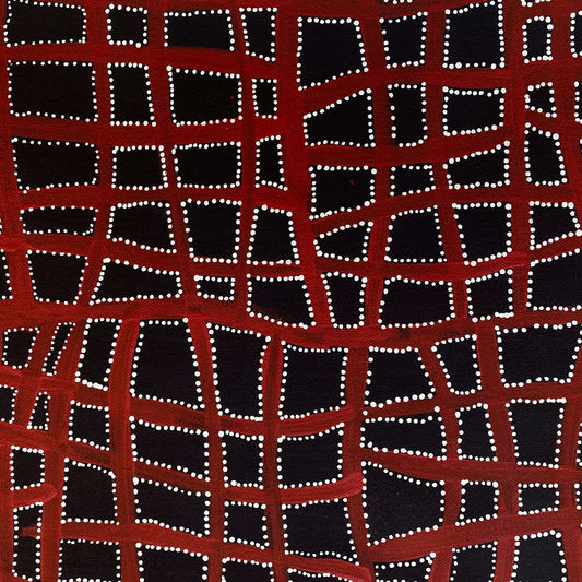 ABIE LOY KEMARRE - Aweyle - Aboriginal Art - Indigenous Artwork - Based in Darwin - Utopia