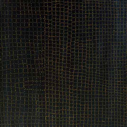 Aileen Eileen Mbitjana Anwekety Conkerberry Utopia Indigenous Art Aboriginal Art Australian Art Minnie Pwerle Motorcar Jim Ngala Bush Plum Dreaming Bush Food Bush Tucker Dot Art Painting