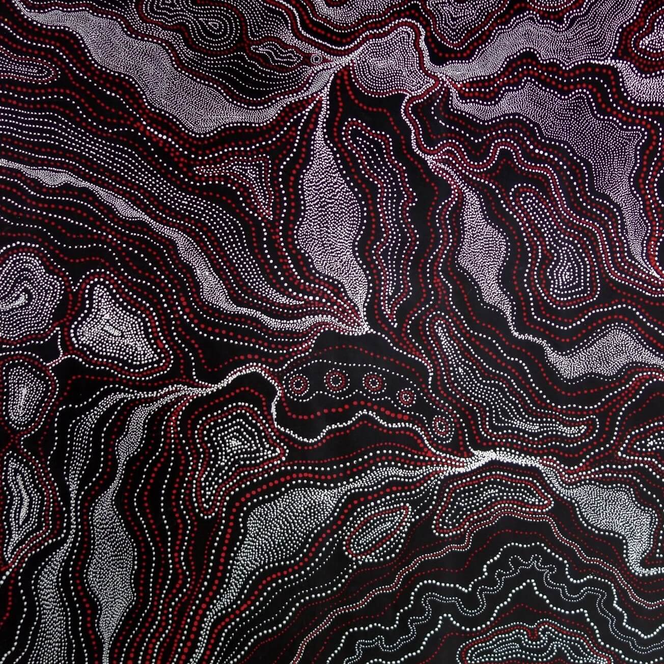 ANNA PITJARA PETYARRE - My Country - Aboriginal Art - Indigenous Artwork - Based in Darwin (Australia)