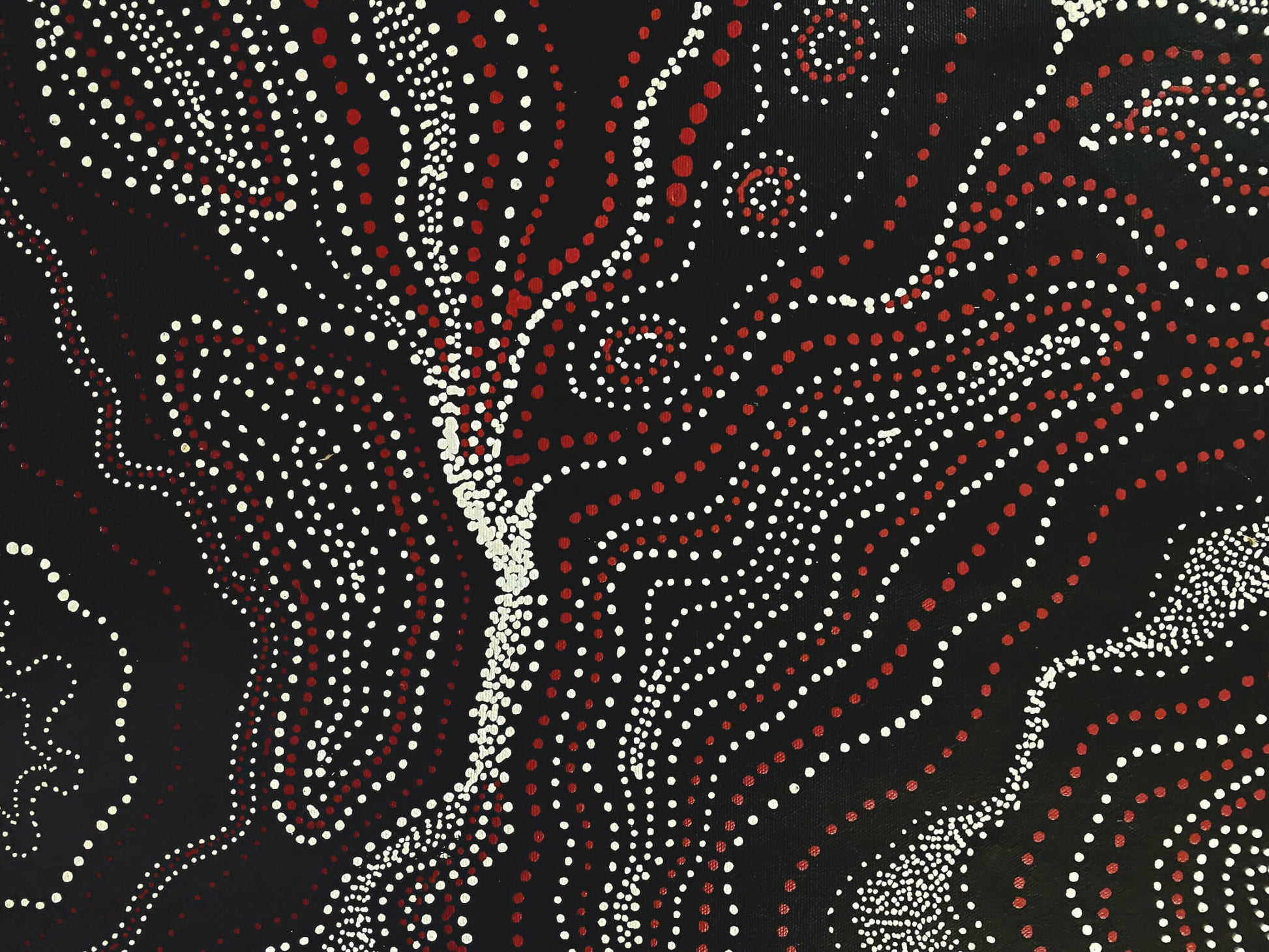 ANNA PITJARA PETYARRE - My Country - Aboriginal Art - Indigenous Artwork - Based in Darwin (Australia)
