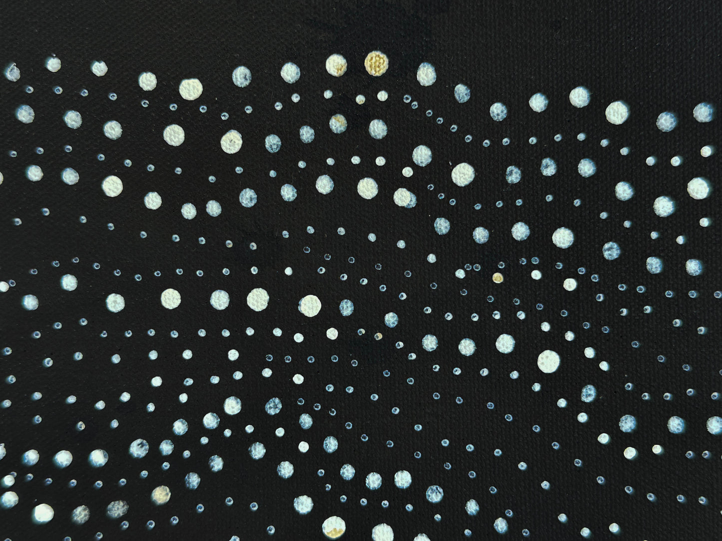 Anna Pitjara Petyarre + Utopia + Indigenous Art + Aboriginal Art + Australian Art + My Country + Dot Art Painting + Dot Artwork + Darwin Based Gallery + Contemporary Art