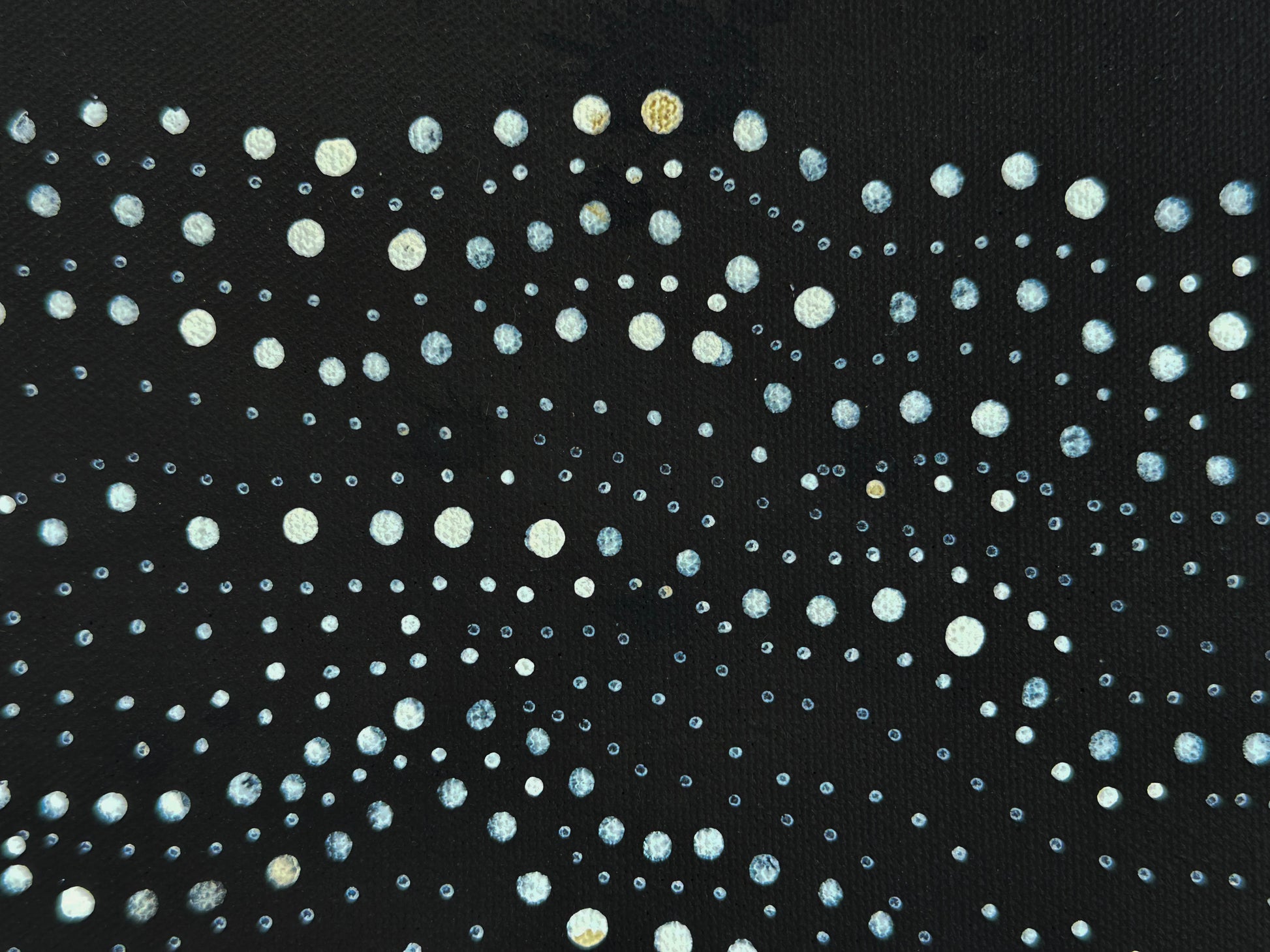 Anna Pitjara Petyarre + Utopia + Indigenous Art + Aboriginal Art + Australian Art  + My Country + Dot Art Painting + Dot Artwork + Darwin Based Gallery + Contemporary Art