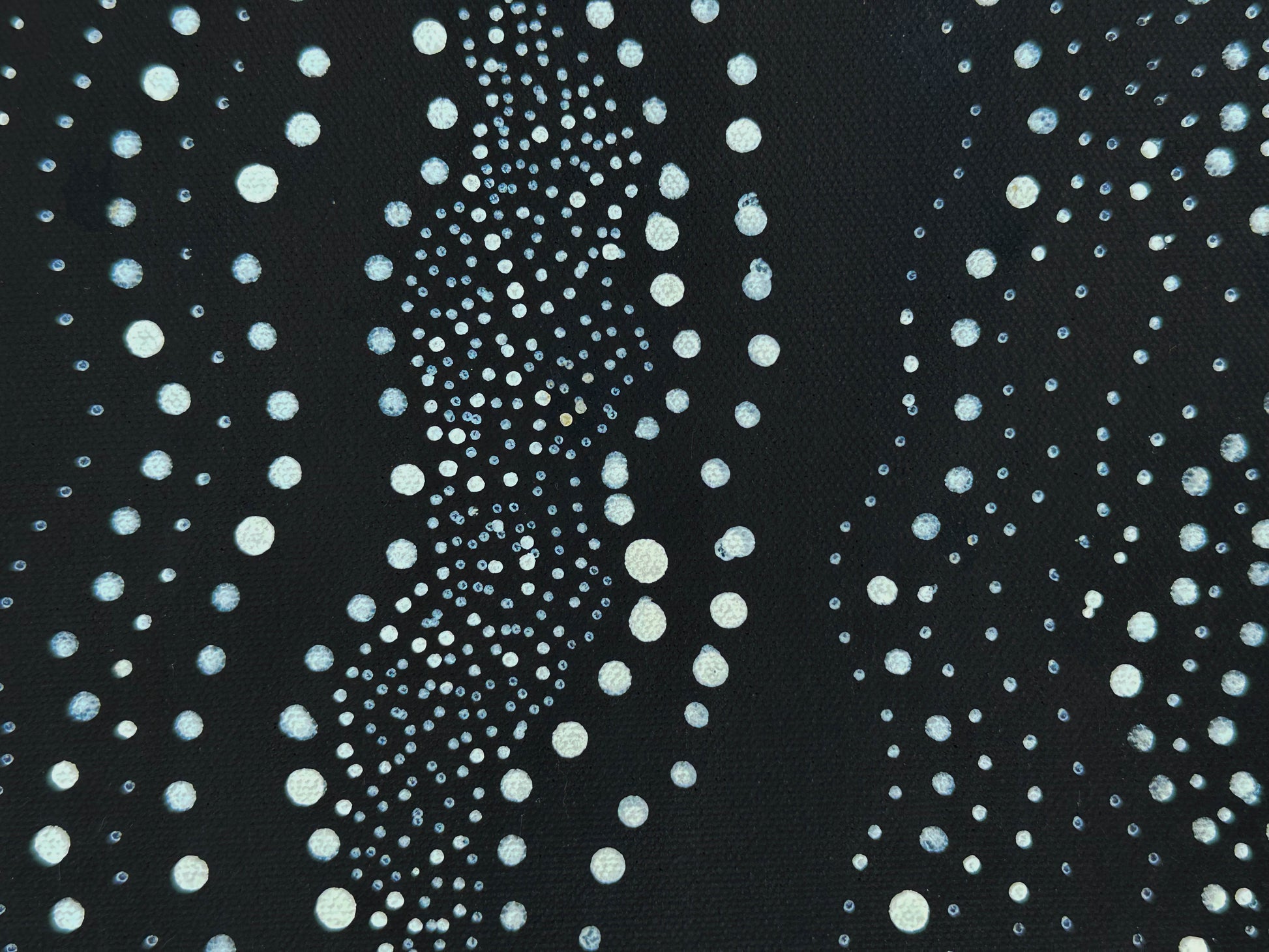 Anna Pitjara Petyarre + Utopia + Indigenous Art + Aboriginal Art + Australian Art  + My Country + Dot Art Painting + Dot Artwork + Darwin Based Gallery + Contemporary Art