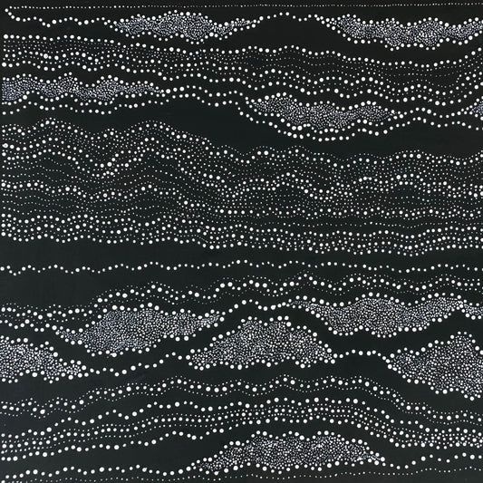 Anna Pitjara Petyarre + Utopia + Indigenous Art + Aboriginal Art + Australian Art  + My Country + Dot Art Painting + Dot Artwork + Darwin Based Gallery + Contemporary Art