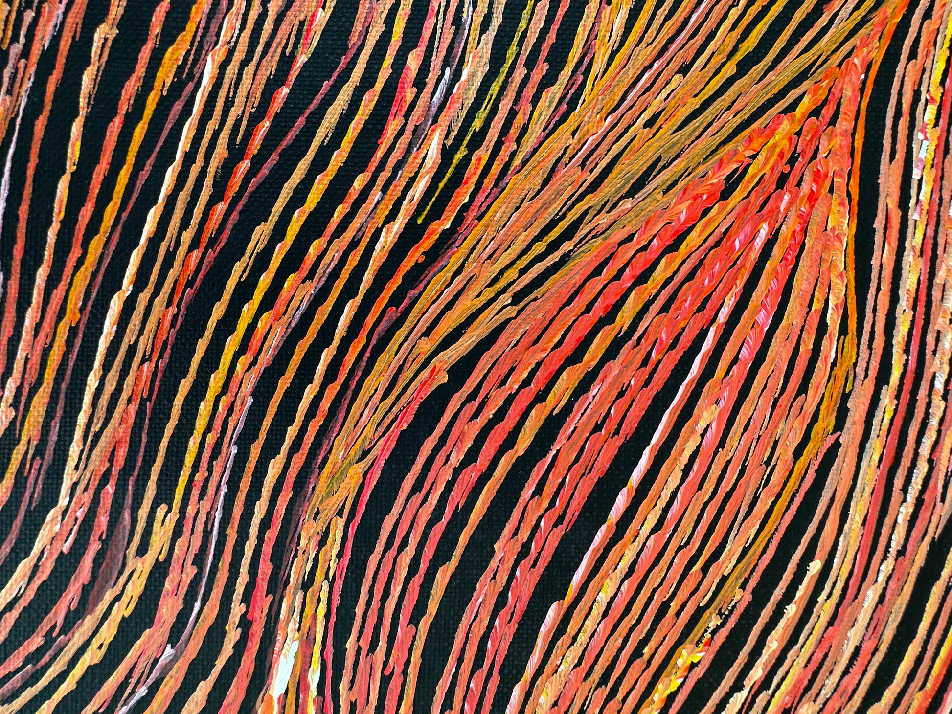 Anna Pitjara Petyarre + Utopia + Indigenous Art + Australian Art + Aboriginal Art + Yam Dreaming + Darwin Based Gallery