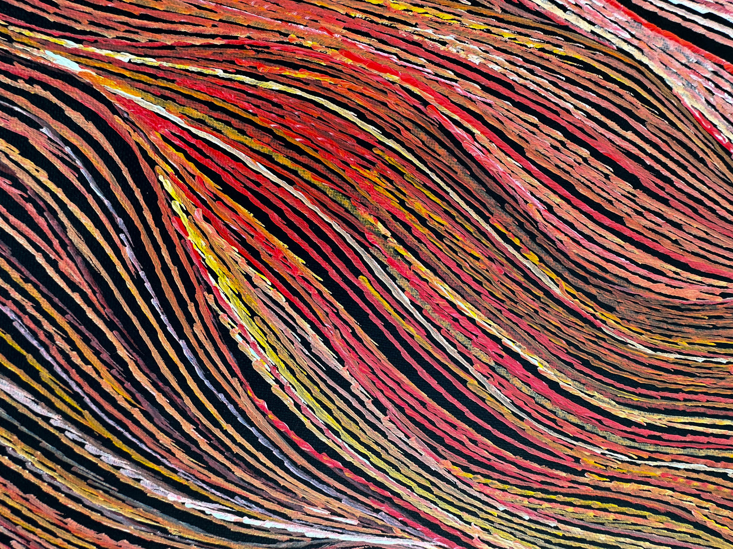 Anna Pitjara Petyarre + Utopia + Indigenous Art + Australian Art + Aboriginal Art + Yam Dreaming + Darwin Based Gallery +