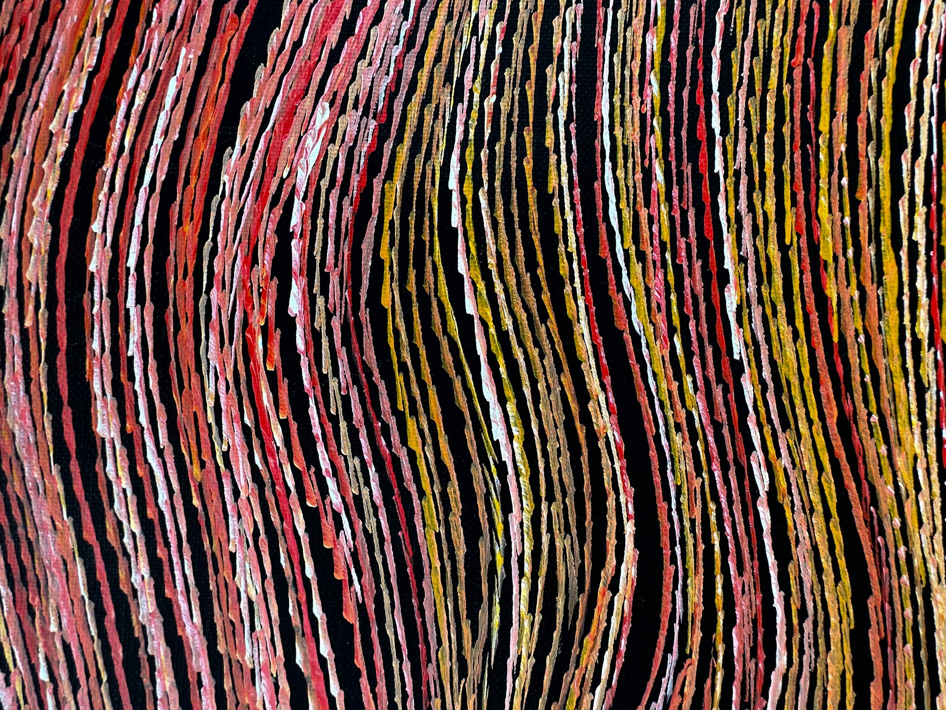 Anna Pitjara Petyarre + Utopia + Indigenous Art + Australian Art + Aboriginal Art + Yam Dreaming + Darwin Based Gallery