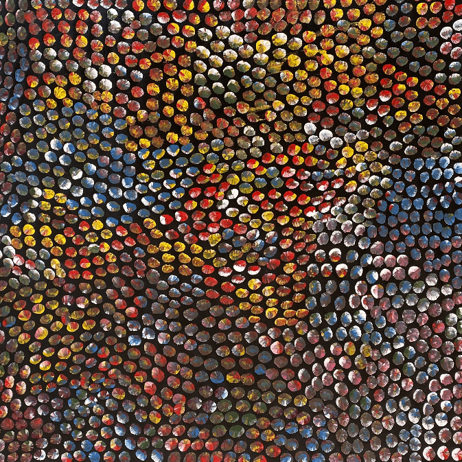 Anna Price, Anna Pitjara, Anna Petyarre, Anmatyerre, Utopia, Aboriginal Art, Indigenous Art, Aboriginal Art, Alice Springs, Northern Territory, Art for Sale, Painting for sale, Indigenous art for sale, Darwin Art Gallery, Dreaming, Dot art, Yam Seed, My Country, Women’s Dreaming, Altyerre Aboriginal Art, Famous Indigenous Artist,