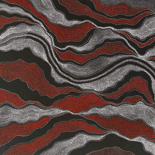 ANNA PITJARA PETYARRE - My Country - Aboriginal Art - Indigenous Artwork - Based in Darwin (Australia)
