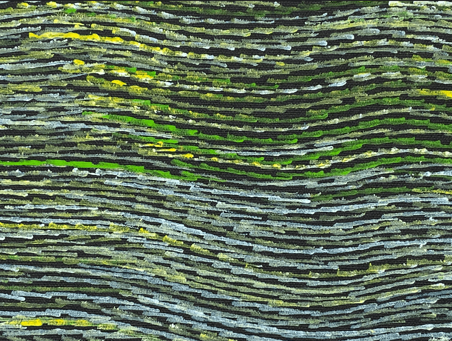 Anna Pitjara Petyarre Yam Dreaming Indigenous Art Aboriginal Art Australian Art Culture Indigneous Art for sale, based in Darwin (Australia)