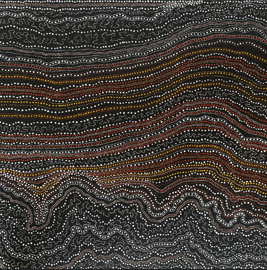 ANNA PITJARA PETYARRE - My Country - Indigenous Art - Aboriginal Artwork - Based in Darwin (Australia)