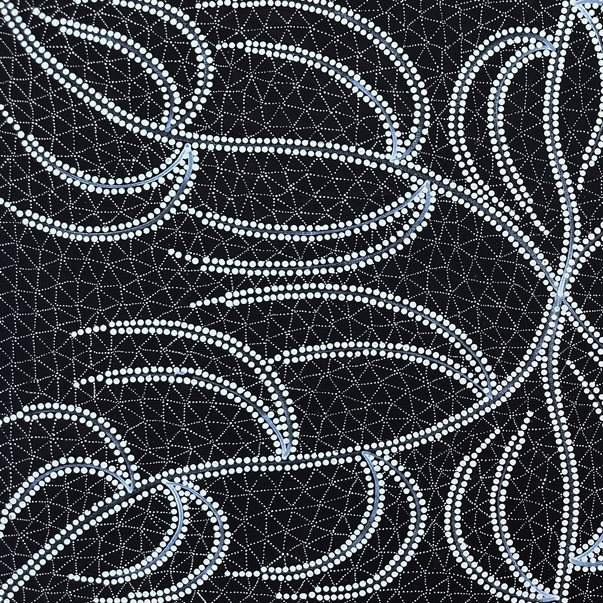 DOREEN DIXON (DICKSON) NAKAMARRA + NGURLU (DAMPER SEED DREAMING)+ Willowra + Wirliyajarrayi  + Warlpiri + art for sale + painting for sale + artwork for sale + dot painting + dot art work + black and white + monochromatic + indigenous art + Aboriginal art + Australian art + traditional art + intricate art + unique artwork + darwin based gallery + family owned business + art collector + art story + home decor + interior designer + decor + black and white + monochromatic