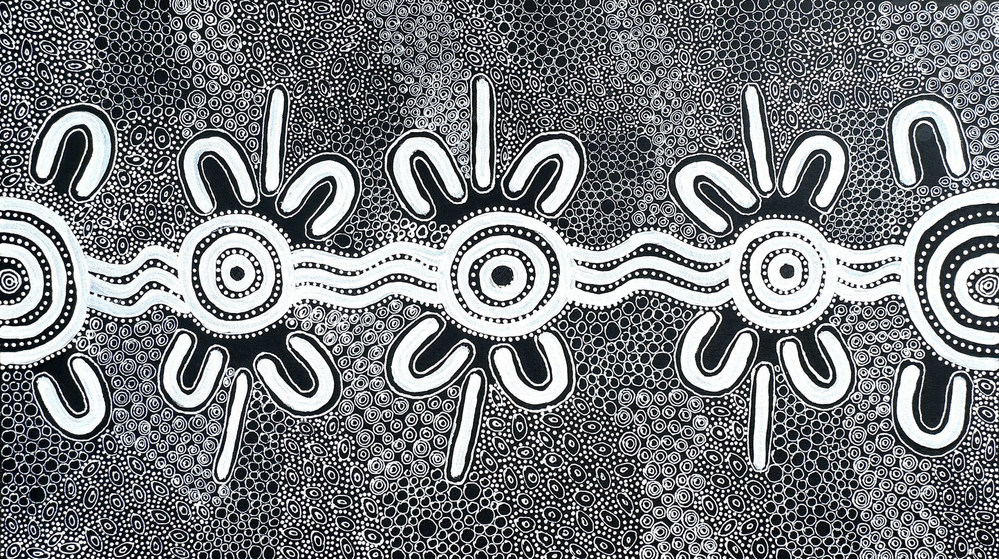 Delores Furber Pultara Napaltjarri + Ltyentye Apurte (Santa Teresa) + Indigenous Art + Aboriginal Art + Australian Art + Painting + Icongraphy + Symbolism + Intricate + Art Story + Traditional Art + Contemporary Art + Darwin Based Gallery + DFP452