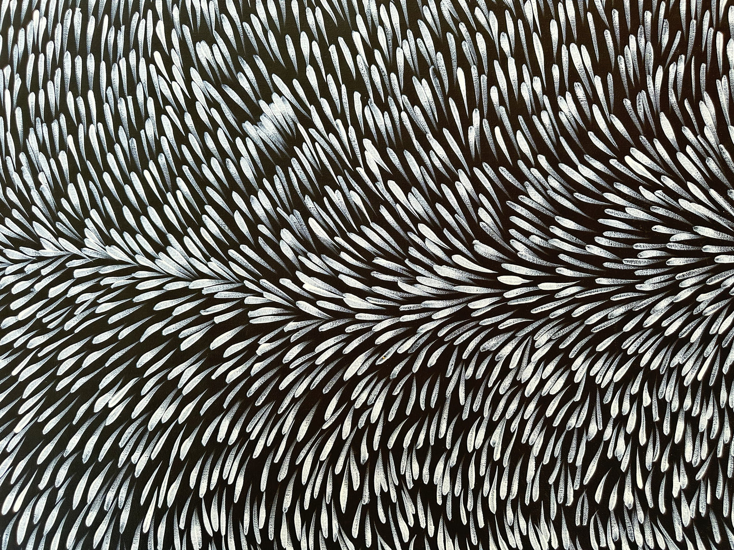 GLORIA TAMERRE PETYARRE - Bush Medicine leaves