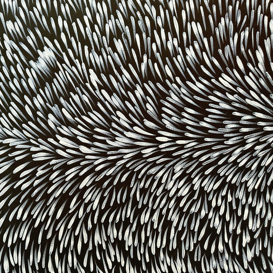 Gloria Tamerre Petyarre, Bush Medicine Leaves, Utopia, Art for Sale, Painting for Sale, Indigenous Art, Aboriginal Art, Australian Art, Darwin Art Gallery, Altyerre Aboriginal Art, Darwin Gallery, famous indigenous artist, aboriginal dreaming, interior décor, home décor, interior decorating, leaves, Iconic, office decor,