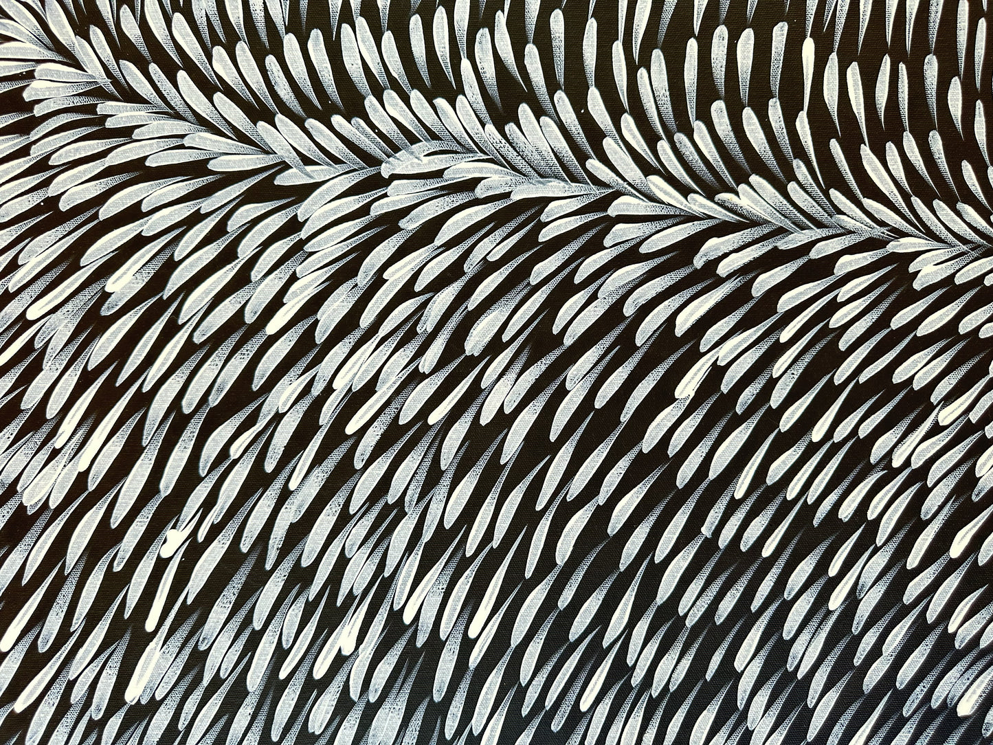 GLORIA TAMERRE PETYARRE - Bush Medicine leaves