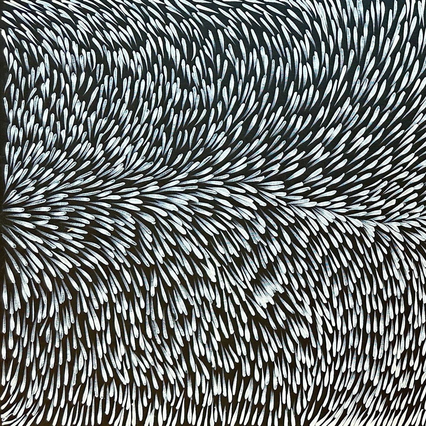 Gloria Tamerre Petyarre Indigenous Art Aboriginal Art Australian Art Bush Medicine Leaves Utopia Contemporary Monochromatic Black and White