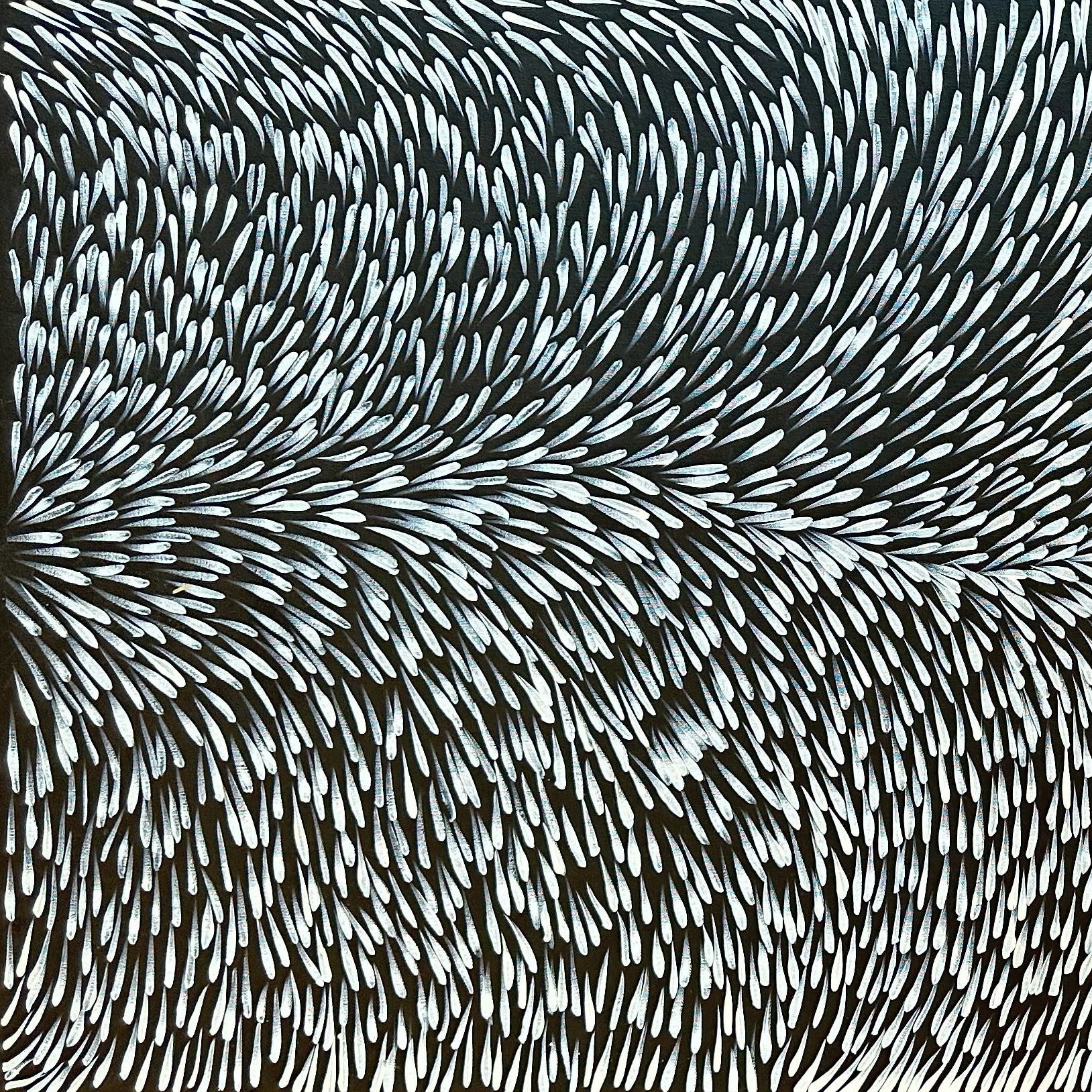 Gloria Tamerre Petyarre Indigenous Art Aboriginal Art Australian Art Bush Medicine Leaves Utopia Contemporary Monochromatic Black and White