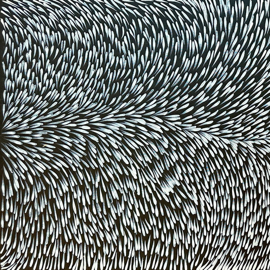 Gloria Tamerre Petyarre Indigenous Art Aboriginal Art Australian Art Bush Medicine Leaves Utopia Contemporary Monochromatic Black and White