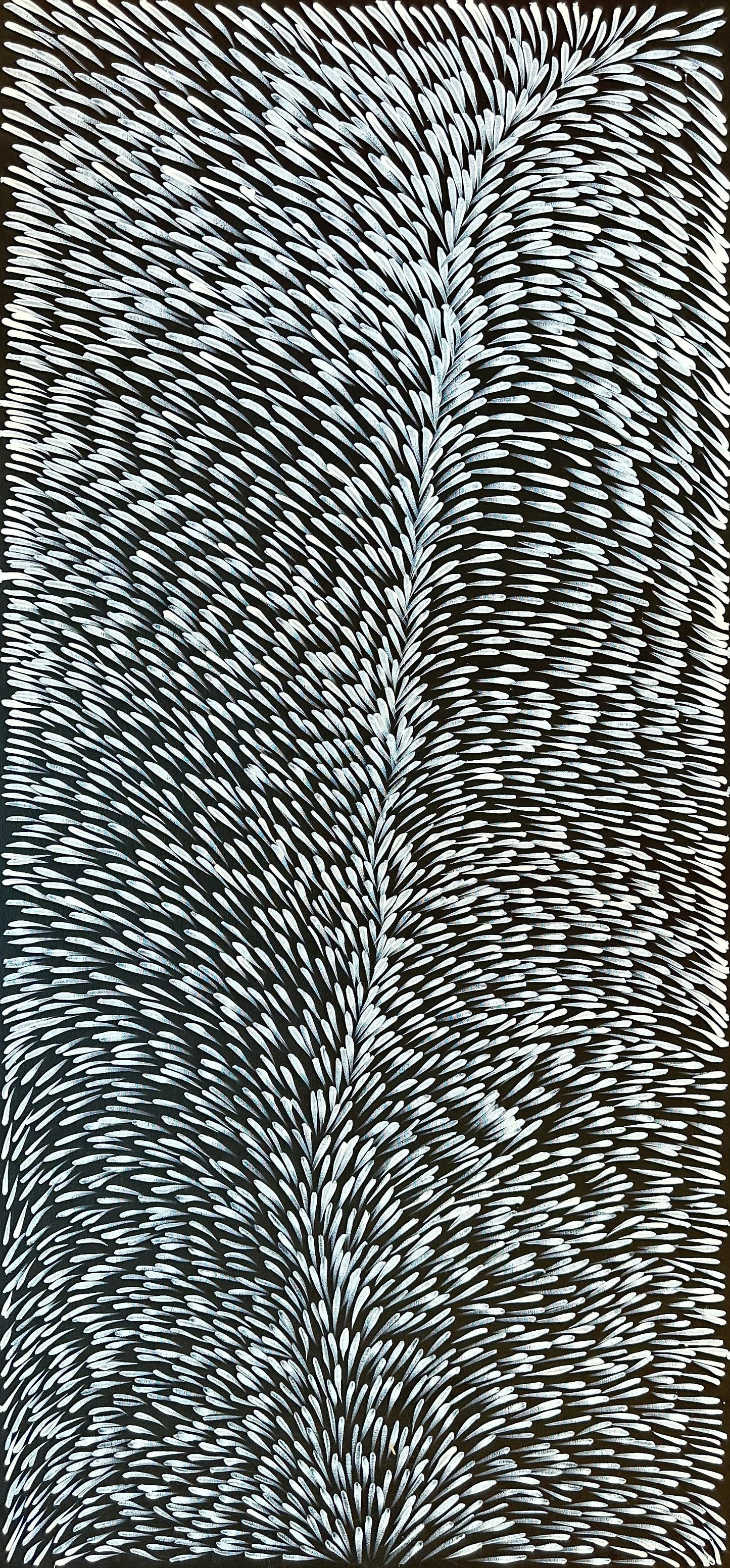 Gloria Tamerre Petyarre, Bush Medicine Leaves, Utopia, Art for Sale, Painting for Sale, Indigenous Art, Aboriginal Art, Australian Art, Darwin Art Gallery, Altyerre Aboriginal Art, Darwin Gallery, famous indigenous artist, aboriginal dreaming, interior décor, home décor, interior decorating, leaves, Iconic, office decor