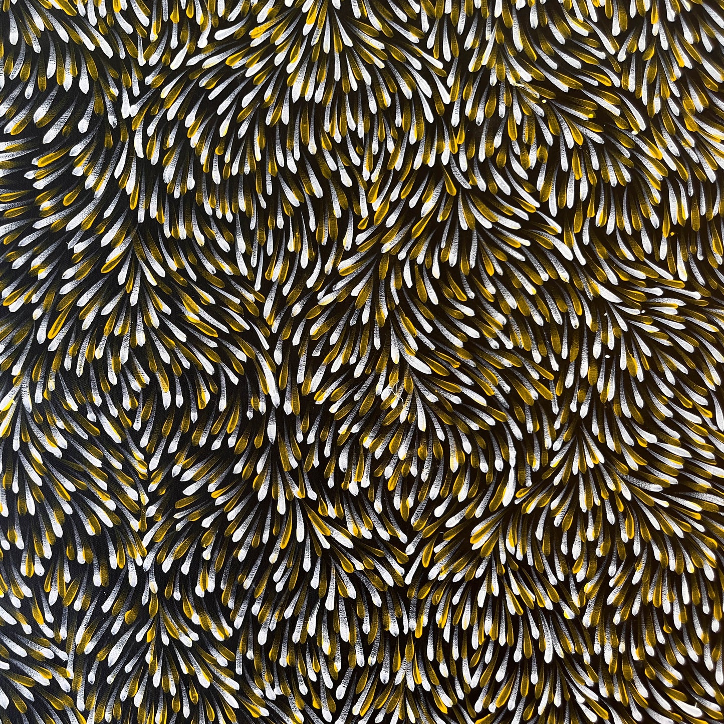 Gloria Tamerre Petyarre Pitjara + Utopia + famous artist + Indigneous art + Aboriginal art + Australian art + Famous artist + art for sale + Painting for sale + artwork for sale + bush medicine leaves + altyerre aboriginal art + Darwin based gallery + large painting + original art + home decor + decor + interior + interior design + wall art + family based business
