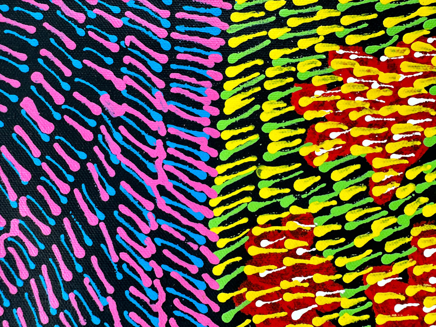 Jessie Bird Nangala Ngale + Utopia + Colourful art + Traditional art + Aboriginal art + Indigenous Art + Bush Tucker + Bush Food + Darwin Based Gallery + Iconography + Symbolism + Dreaming + Darwin Based Gallery
