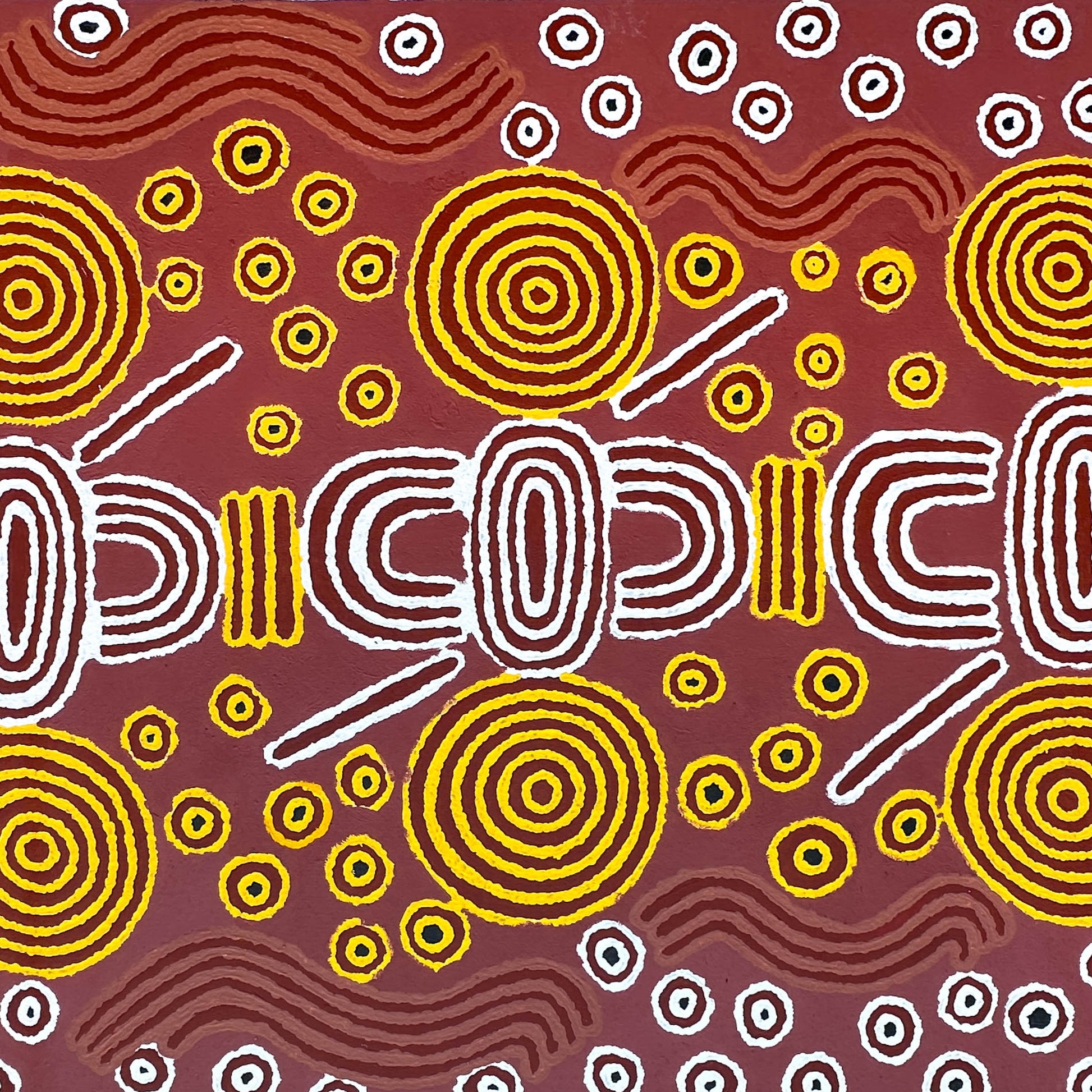Julie Dempsey Napaltjarri + Papunya ++ aboriginal art + indigenous art + Australian art + darwin Based gallery + art for sale + painting for sale + aerial painting + iconography + symbolism + mina Tjuta + altyerre + altyerre aboriginnal art + painting for sale + artwork + art story