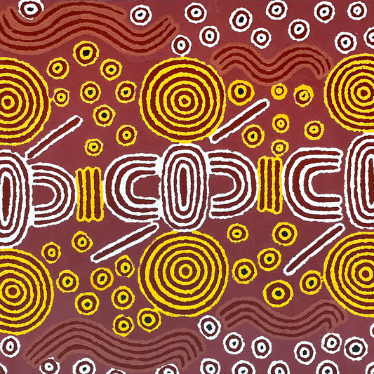 Julie Dempsey Napaltjarri + Papunya ++ aboriginal art + indigenous art + Australian art + darwin Based gallery + art for sale + painting for sale + aerial painting + iconography + symbolism + mina Tjuta + altyerre + altyerre aboriginnal art + painting for sale + artwork + art story