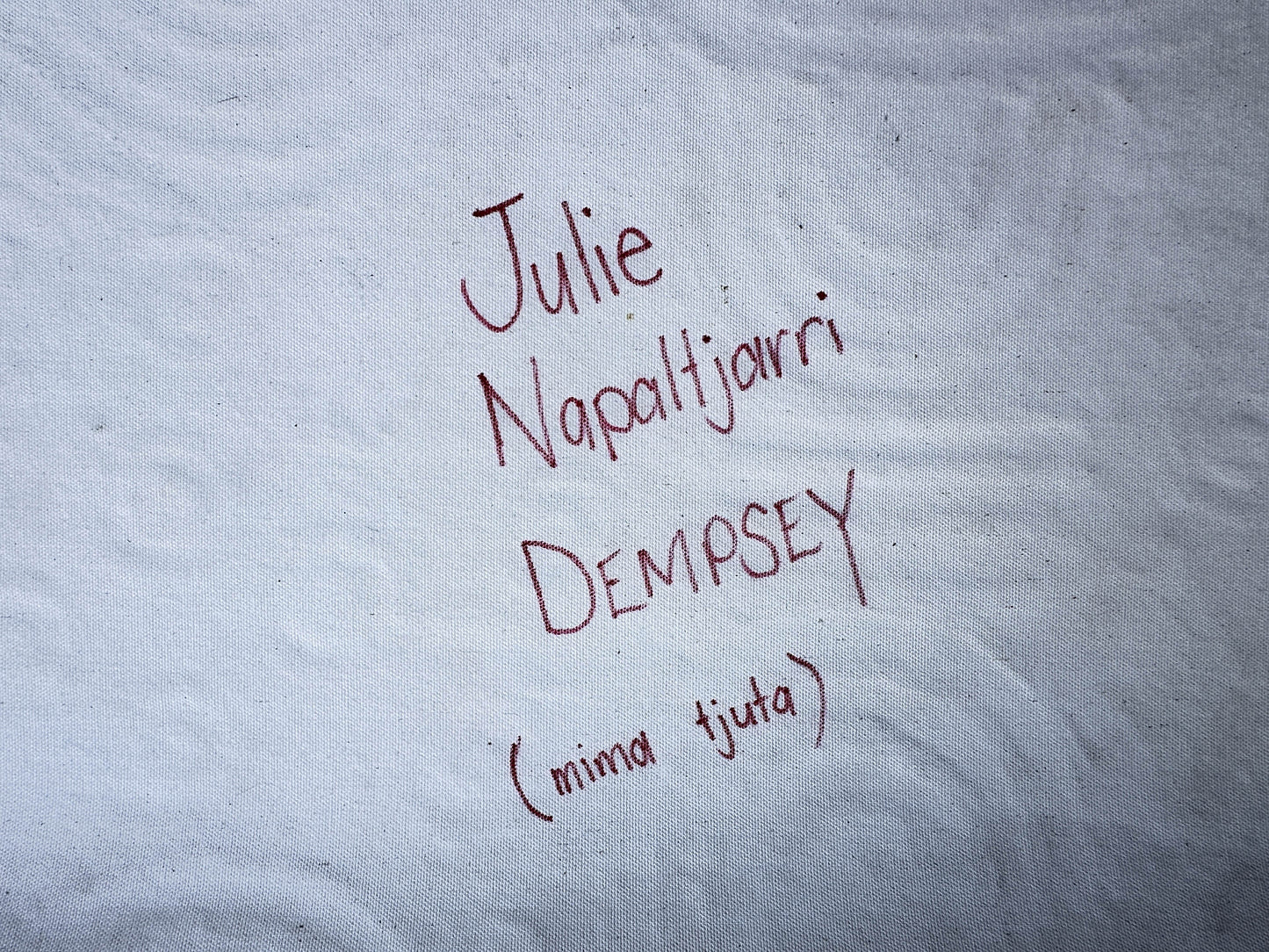 Julie Dempsey Napaltjarri + Papunya ++ aboriginal art + indigenous art + Australian art + darwin Based gallery + art for sale + painting for sale + aerial painting + iconography + symbolism + mina Tjuta + altyerre + altyerre aboriginnal art + painting for sale + artwork + art story