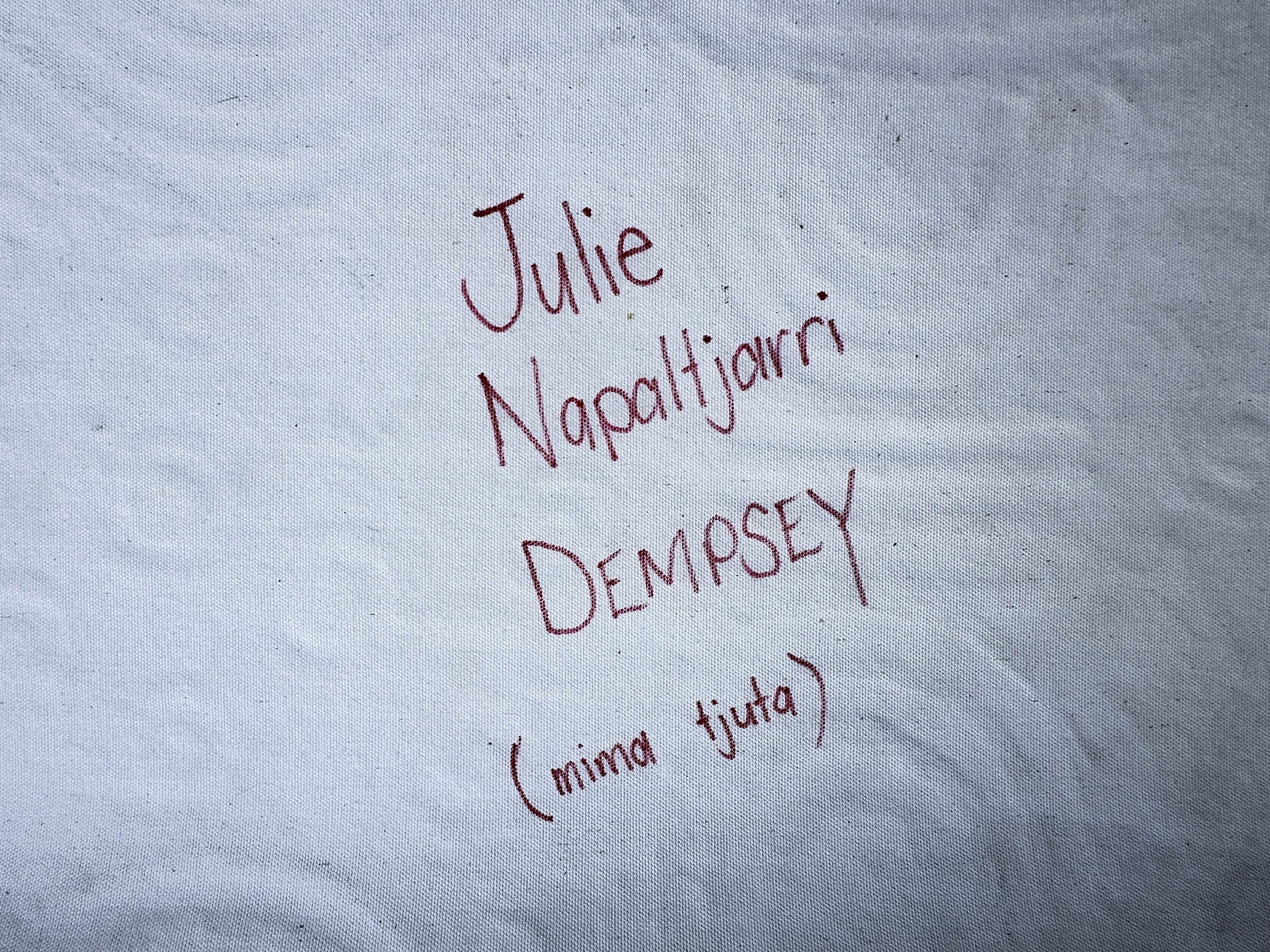 Julie Dempsey Napaltjarri + Papunya ++ aboriginal art + indigenous art + Australian art + darwin Based gallery + art for sale + painting for sale + aerial painting + iconography + symbolism + mina Tjuta + altyerre + altyerre aboriginnal art + painting for sale + artwork + art story