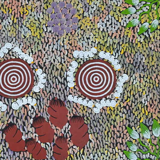 Julie Napaltjarri Dempsey + Papunya  + indigenous art + Aboriginal art + australian art + bush tucker + bush foods + altyerre aboriginal art + art for sale + painting for sale + darwin based art gallery +