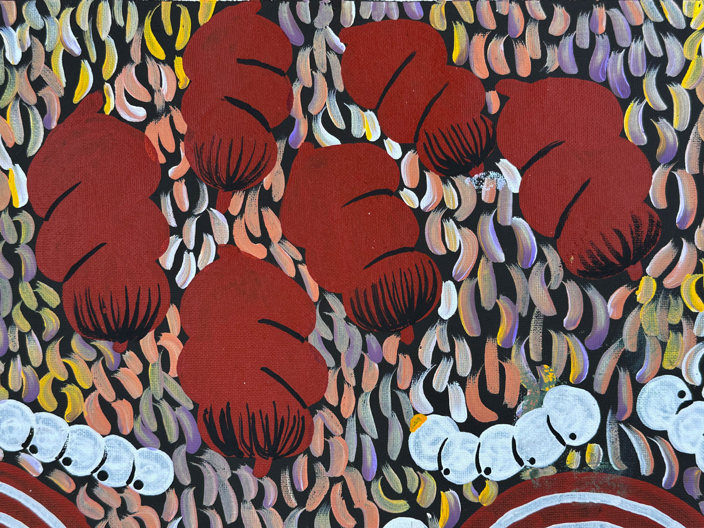 Julie Napaltjarri Dempsey + Papunya + indigenous art + Aboriginal art + australian art + bush tucker + bush foods + altyerre aboriginal art + art for sale + painting for sale + darwin based art gallery +