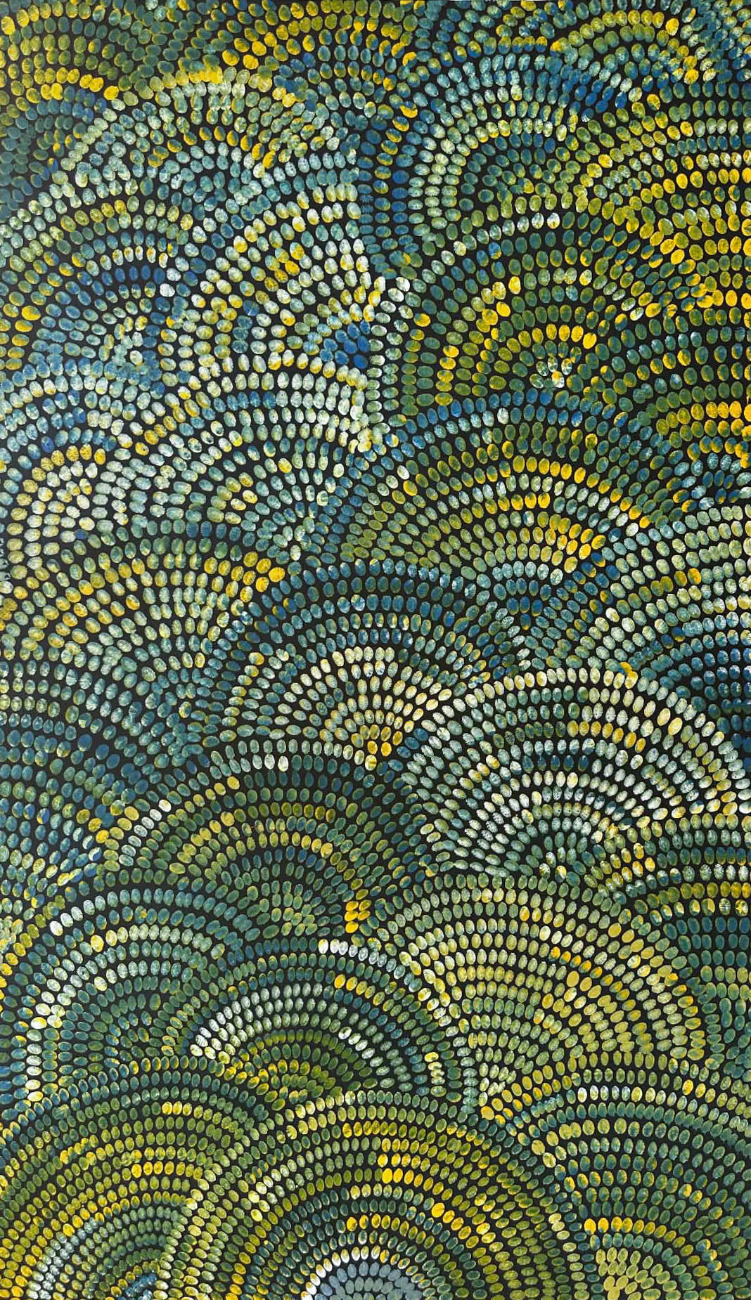 Janet golder Kngwarreye, utopia, bush tucker, yam flower, awelye, indigenous art, aboriginal art, Australian art, indigenous art for sale, art, indigenous painting for sale, family business, original art, authentic art, ethical art, altyerre aboriginal art, décor, interior design, art collector, art lover, art gallery, Darwin gallery,