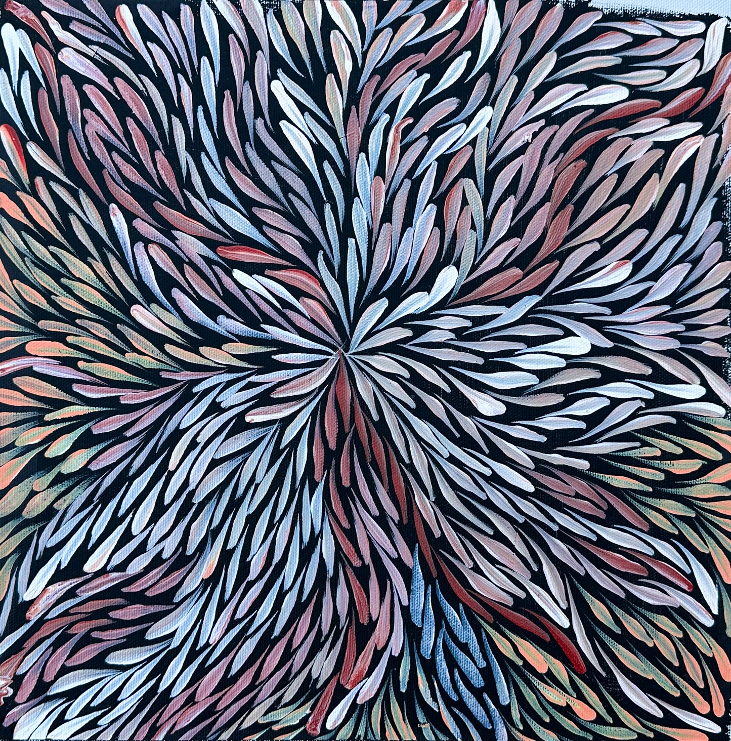 Jeannie Pitjara Petyarre Bush Medicine Leaves Utopia Indigenous art Aboriginal Art Australian Art Painting