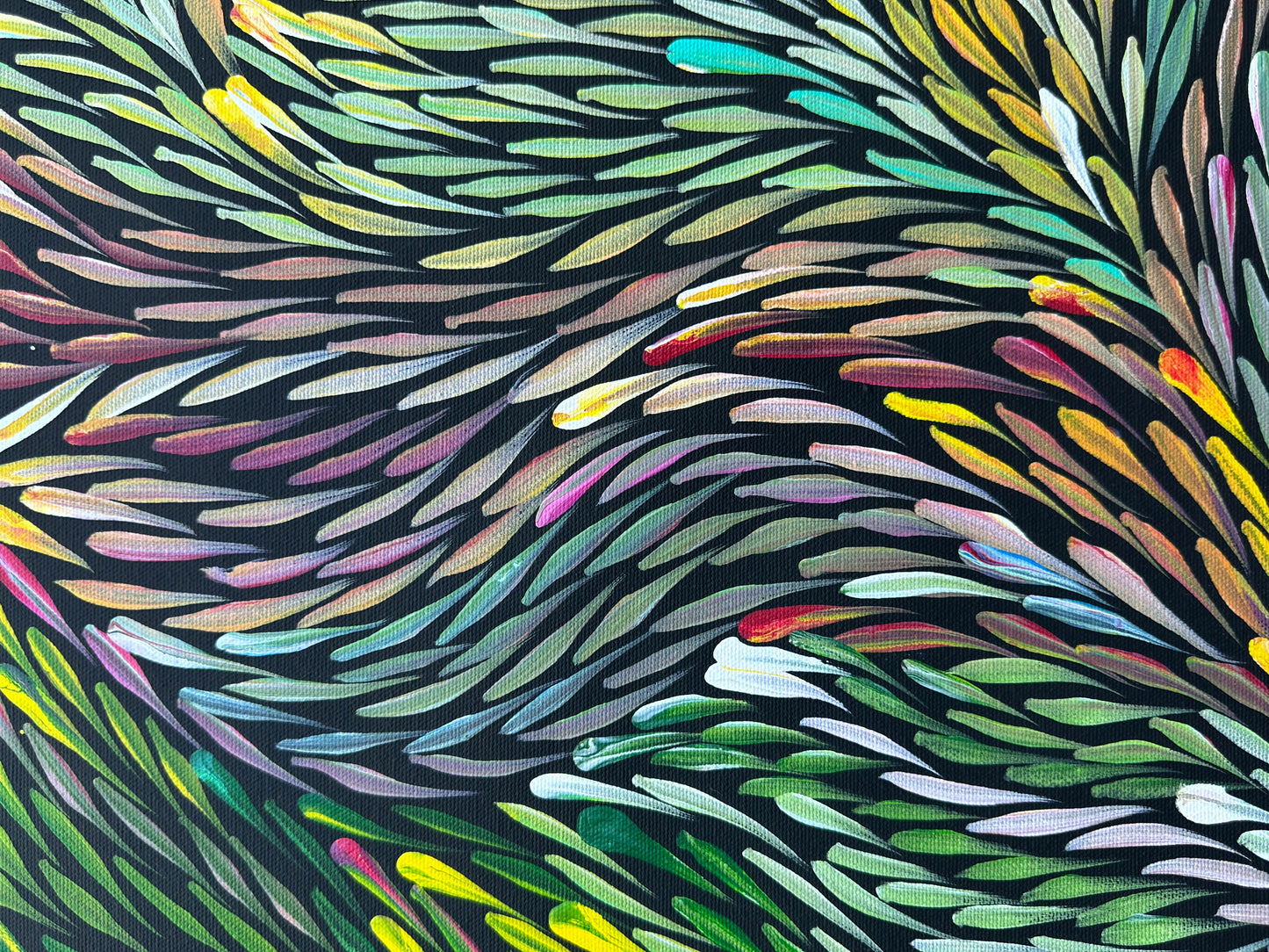 JEANNIE PITJARA PETYARRE - Bush Medicine Leaves