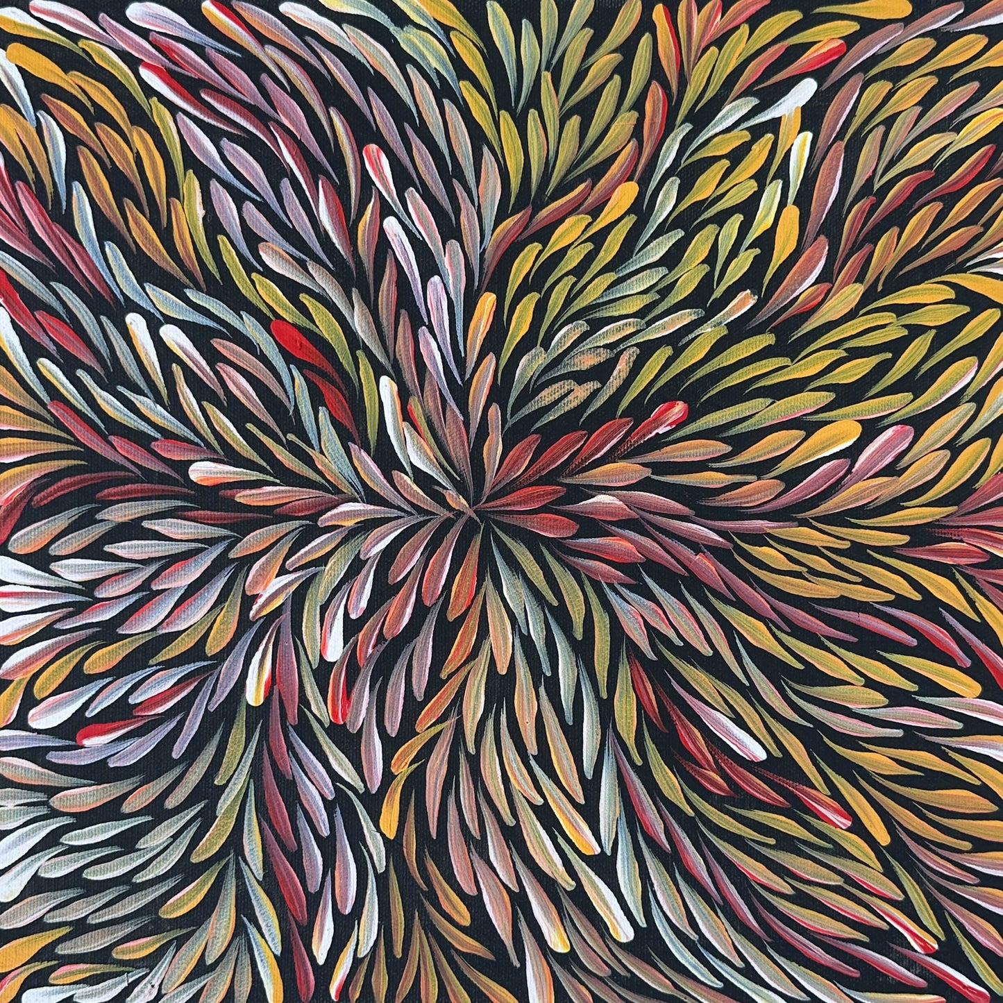 Jeannie Petyarre + Jeannie Pitjara Petyarre + Utopia + Indigenous Art + Aboriginal Art + Australian Art + Art for Sale + Painting for Sale + Bush Medicine Leaves + Contemporary Art + Contemporary Australian Painting + Female Artist + Darwin Based Gallery + Family Owned