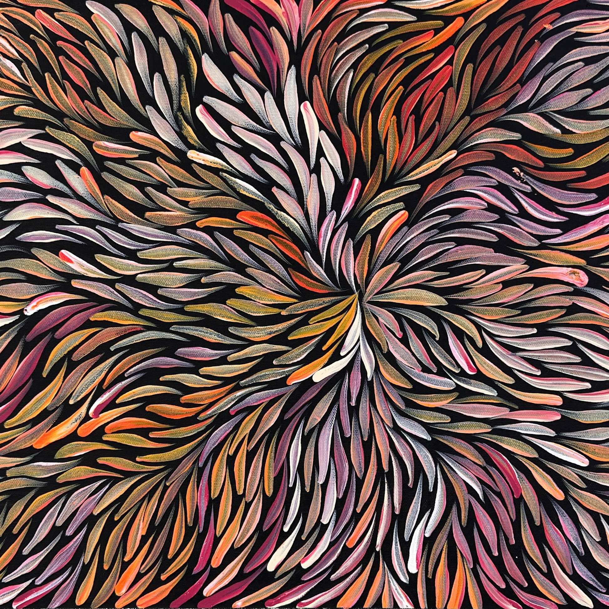 Jeannie Petyare Pitjara + Utopia + bush medicine leaves + bush medicine + leaves + art + painting + indigenous art + aboriginal art + australian art + darwin based gallery + art gallery + art for sale + artwork for sale + painting for sale + home + home decor + interior design + interior designer + interior decor + interior + colour + famous artist +