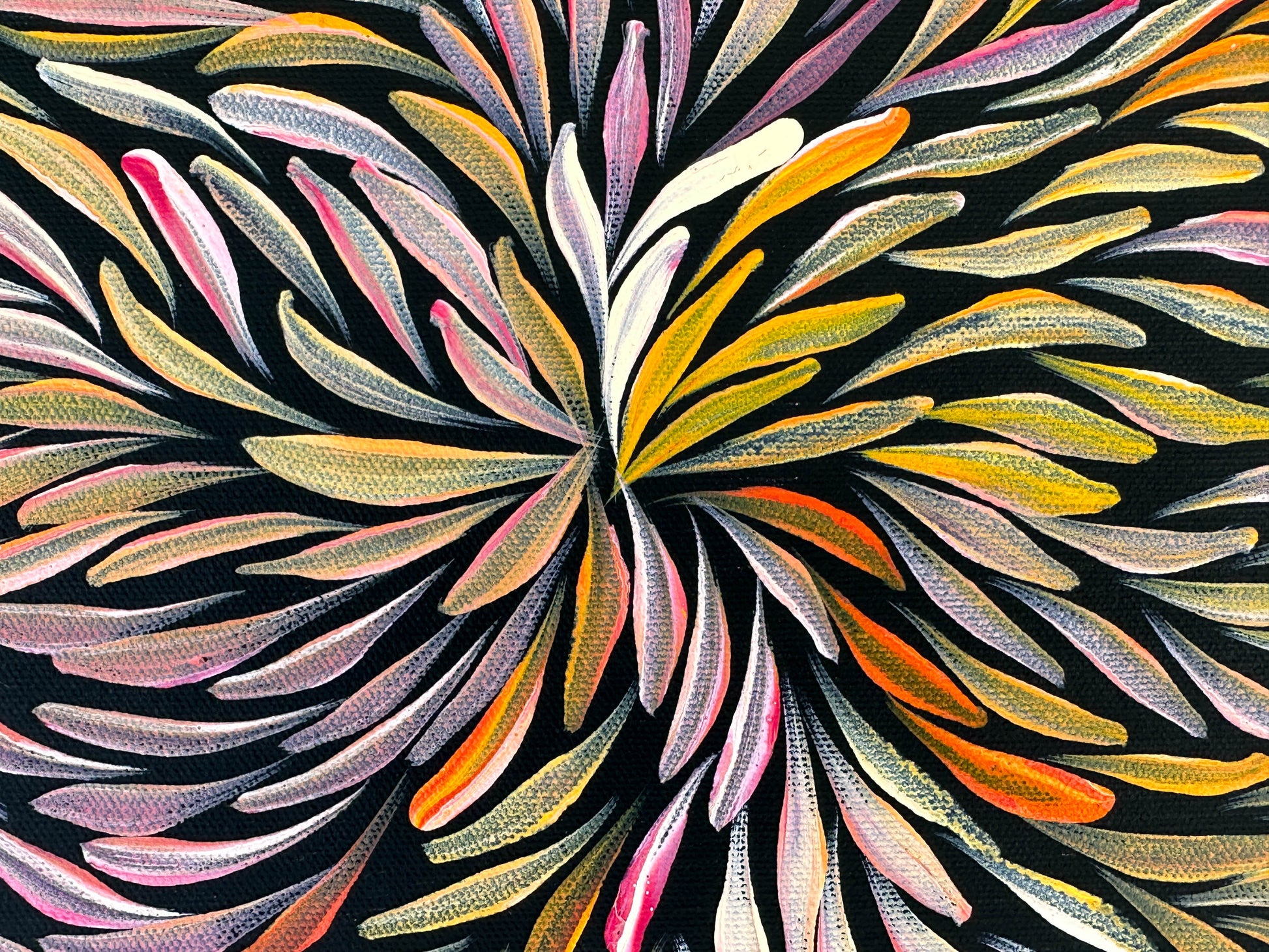 Jeannie Petyare Pitjara + Utopia + bush medicine leaves + bush medicine + leaves + art + painting + indigenous art + aboriginal art + australian art + darwin based gallery + art gallery + art for sale + artwork for sale + painting for sale + home + home decor + interior design + interior designer + interior decor + interior + colour + famous artist +