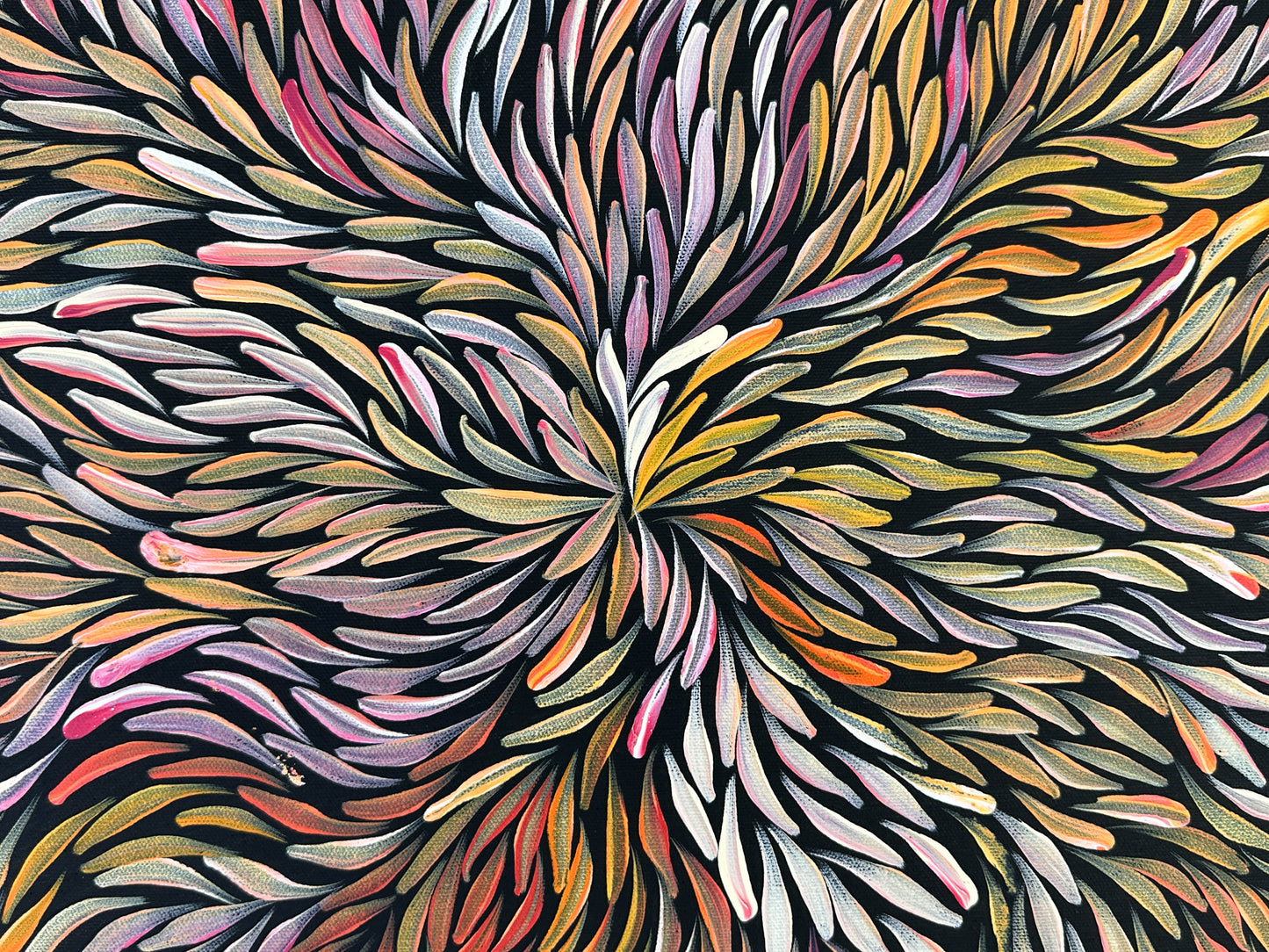Jeannie Petyare Pitjara + Utopia + bush medicine leaves + bush medicine + leaves + art + painting + indigenous art + aboriginal art + australian art + darwin based gallery + art gallery + art for sale + artwork for sale + painting for sale + home + home decor + interior design + interior designer + interior decor + interior + colour + famous artist +