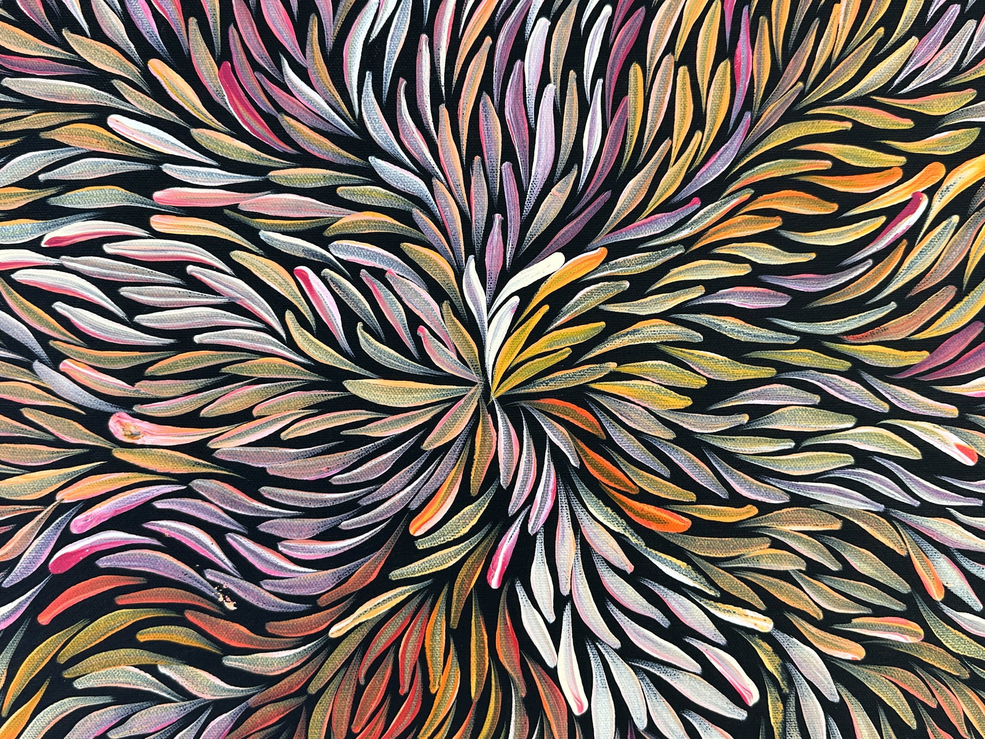 Jeannie Petyare Pitjara + Utopia + bush medicine leaves + bush medicine + leaves + art + painting + indigenous art + aboriginal art + australian art + darwin based gallery + art gallery + art for sale + artwork for sale + painting for sale + home + home decor + interior design + interior designer + interior decor + interior + colour + famous artist +
