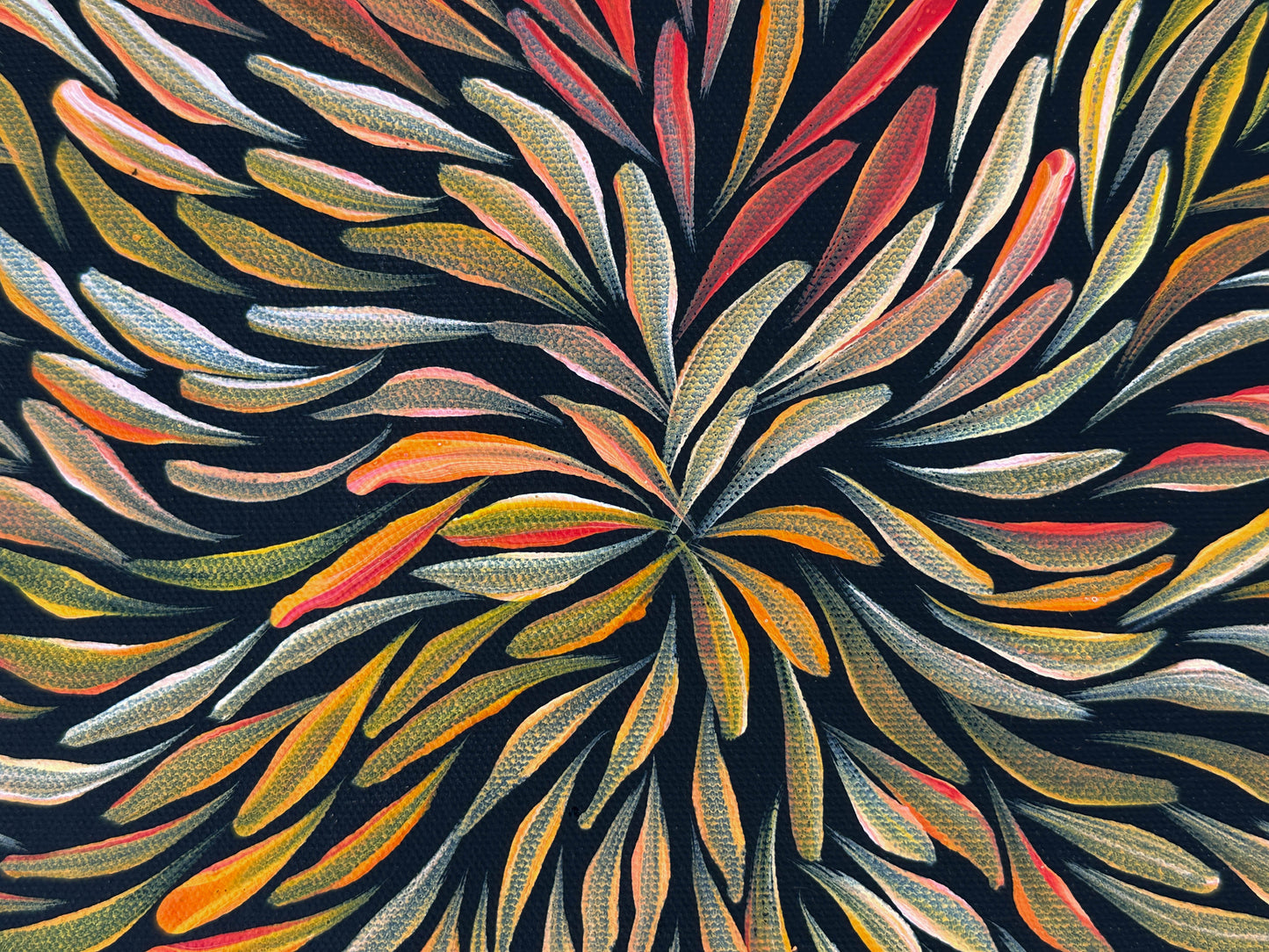 Jeannie Pitjara Petyarre + utopia + bush medicine leaves + leaves + altyerre aboriginal art + art gallery + family owned business + art for sale + artwork + painting for sale + indigneous art + aboriginal art + australian art + Interior design + decor ideas + wall art + yellow + orange + red + famous artist + female artist + art collector +