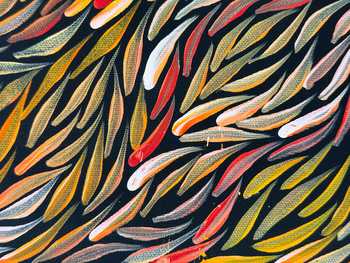 Jeannie Pitjara Petyarre + utopia + bush medicine leaves + leaves + altyerre aboriginal art + art gallery + family owned business + art for sale + artwork + painting for sale + indigneous art + aboriginal art + australian art + Interior design + decor ideas + wall art + yellow + orange + red + famous artist + female artist + art collector +