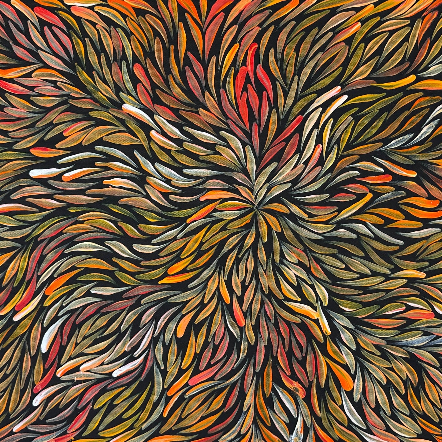 Jeannie Pitjara Petyarre + utopia + bush medicine leaves + leaves + altyerre aboriginal art + art gallery + family owned business + art for sale + artwork + painting for sale + indigneous art + aboriginal art + australian art + Interior design + decor ideas + wall art + yellow + orange + red + famous artist + female artist + art collector +