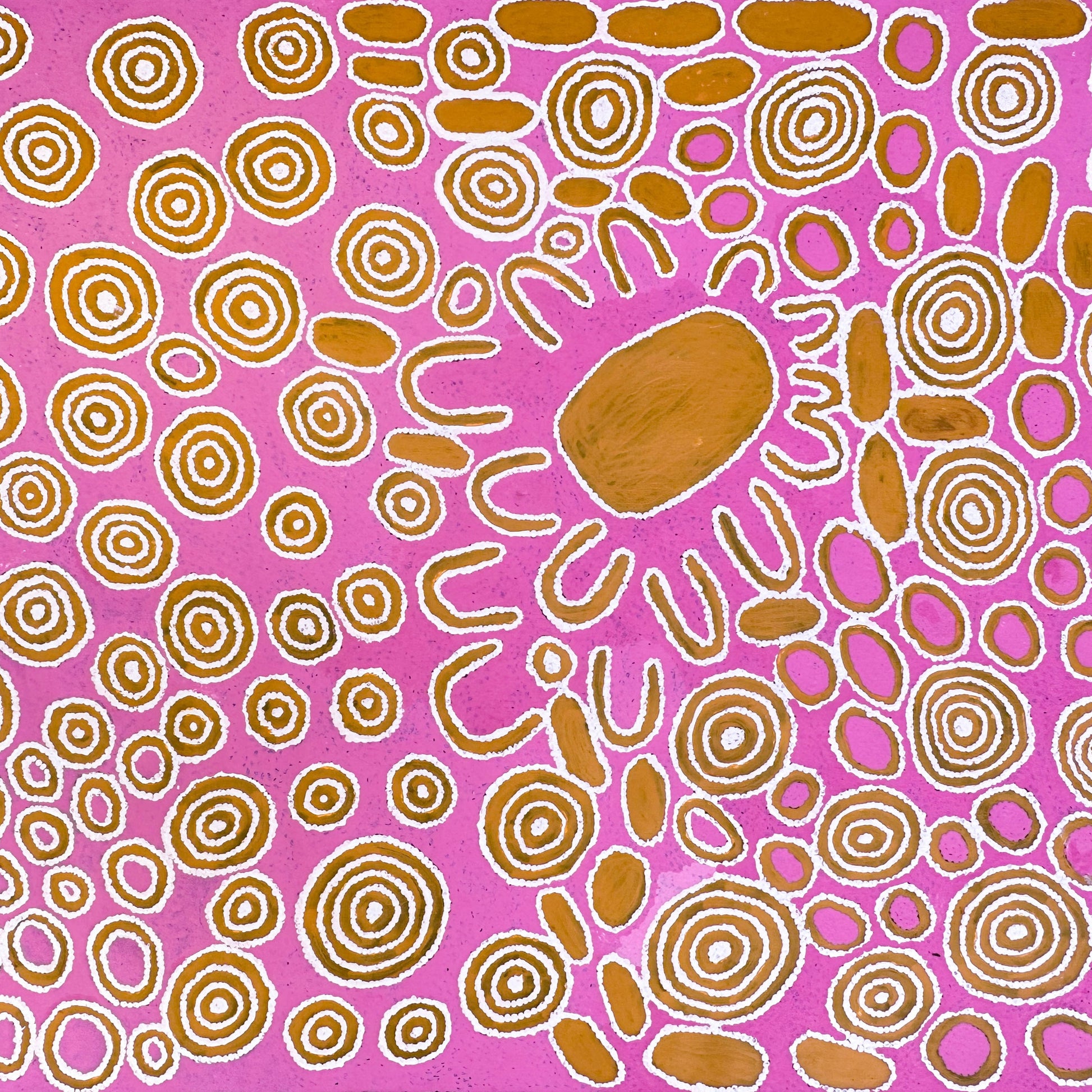 Janie Ward Nakamarra + Gibson Desert + Western Australia + My County + Indigenous Art + Aboriginal Art + Australian Art + Darwin Based Gallery + Traditional Art + Iconography + symbolism + Circles + Pink + Art Story