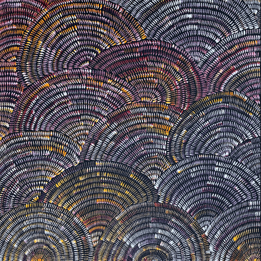 Janet Golder Ngwarai Kngwarreye Awelye Body Paint Women's Ceremony Utopia Indigenous Art Aboriginal Art Australian Art Painting
