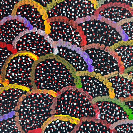 Katie Rumble Pitajara Petyarre, Utopia, Anmatyerre, Bush Medicine, Bush Plum, Indigenous art, buying indigenous art, aboriginal art, Australian art, Altyerre Aboriginal Art, Art Gallery, Darwin Based Gallery, Décor, Interior Décor, Wall art, Art, Art for sale, Painting for sale, Ethical Art, Origional Art, Direct from the artist, Art collector, Interior Decorating,
