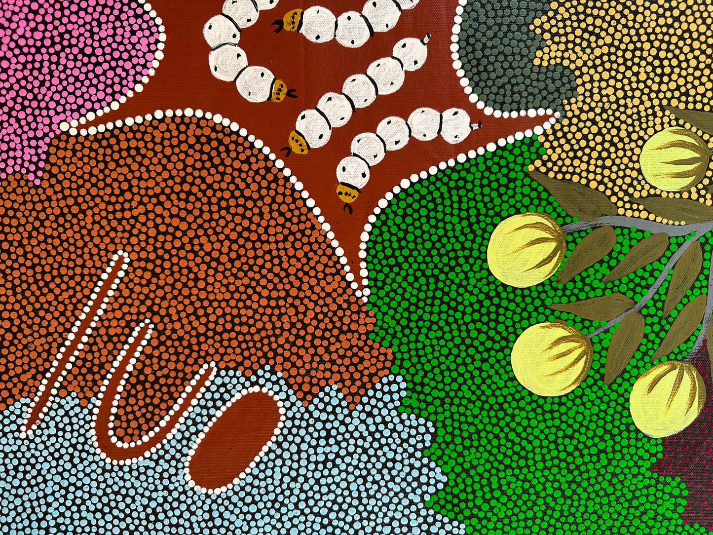KAY WILLIS NAPURRULA - Bush Tomato and Witchety Grub Dreaming