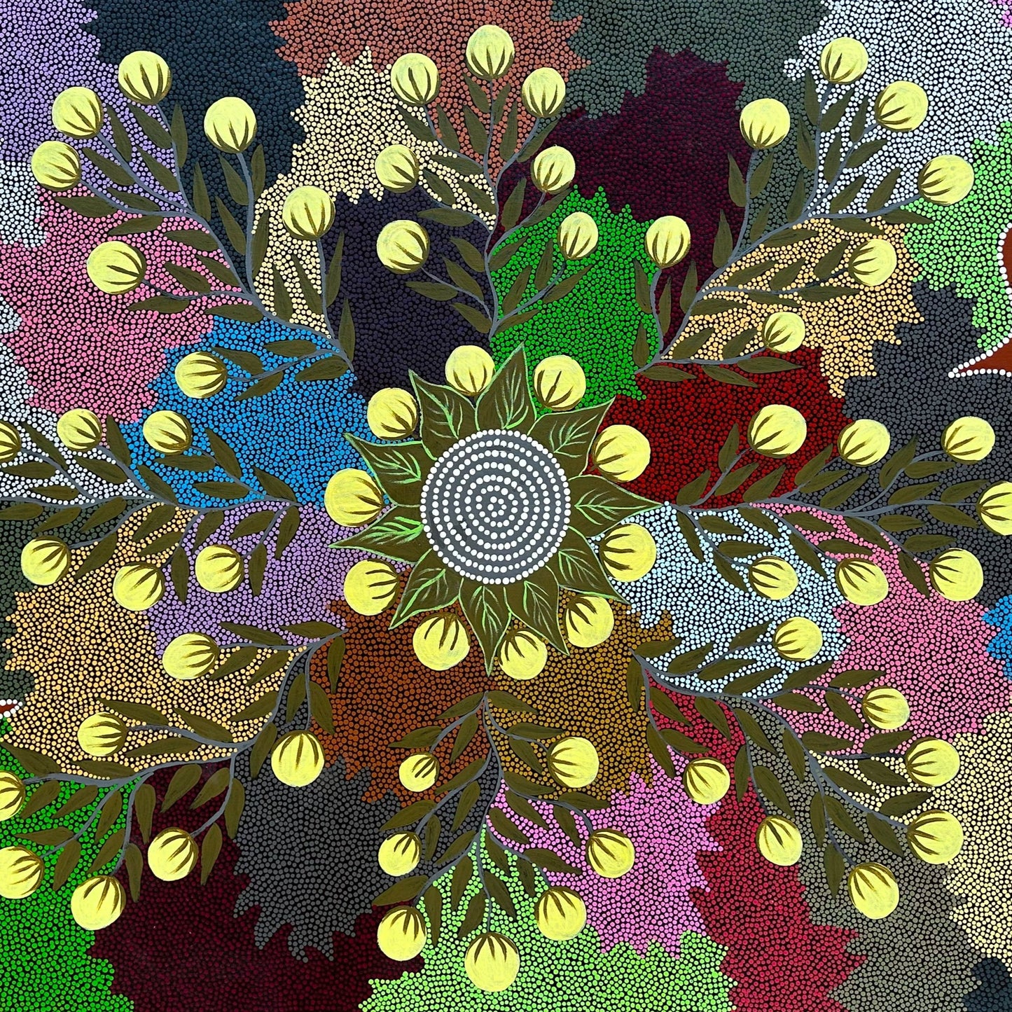 Kay Willis Napurrula Willowra Warlpiri Indigneous Art Aboriginal Art Australian Art Dot Art Painting Colour