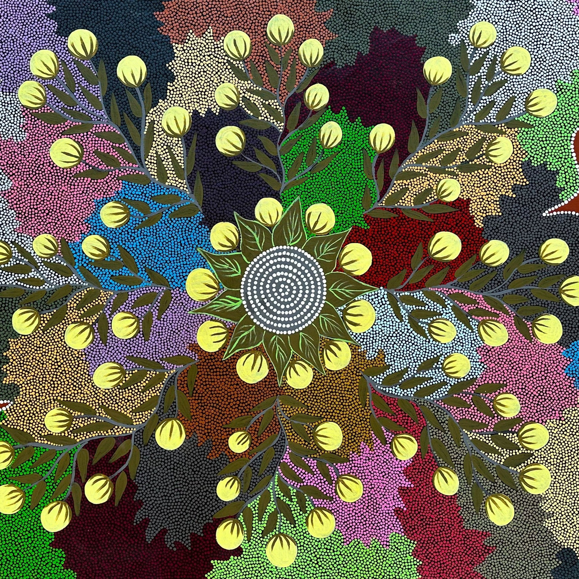 Kay Willis Napurrula Willowra Warlpiri Indigneous Art Aboriginal Art Australian Art Dot Art Painting Colour