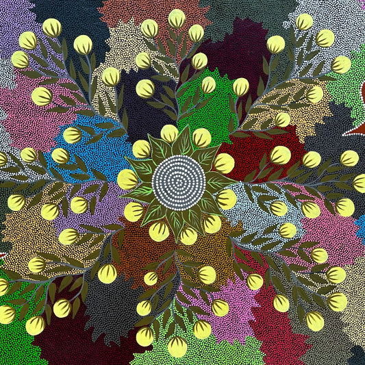 Kay Willis Napurrula Willowra Warlpiri Indigneous Art Aboriginal Art Australian Art Dot Art Painting Colour